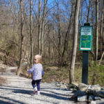 Johnson Nature Preserve 3