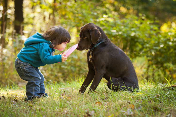 Is Your Family Ready for a Pet?