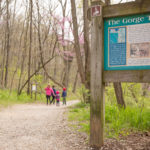 Sharon Woods Gorge Trail 1