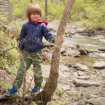 Sharon Woods Gorge Trail 4 square