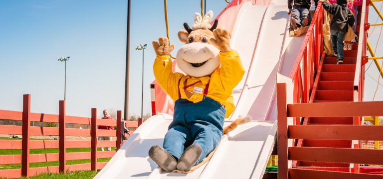 Young’s Dairy: Cowvin’s Corny Maze, pick your own pumpkins, playland and wagon rides