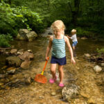 Little Girl with net in stream