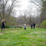 Mt. Airy Arboretum