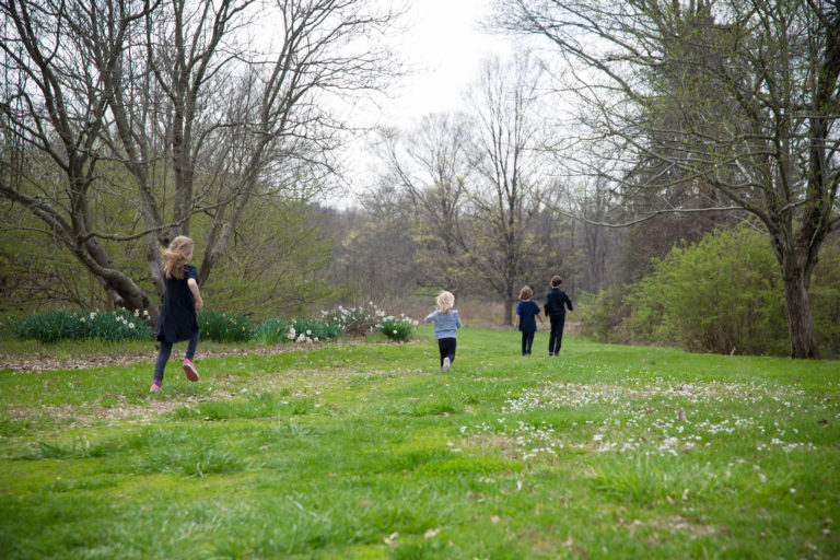 Mt. Airy Arboretum