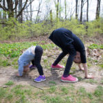 Mt. Airy Arboterum 12