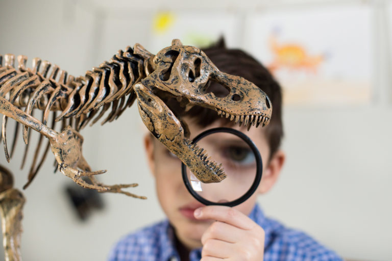 6 Attractions for Kids with Dinosaur Fever What kid doesn't love dinosaurs?