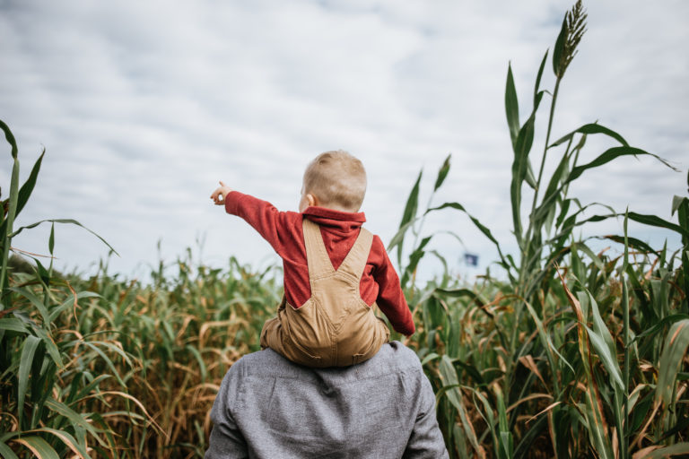 Corn Mazes to Conquer this Fall {2026 Guide} Great mazes for kids of all ages!