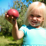 Peifer Orchards