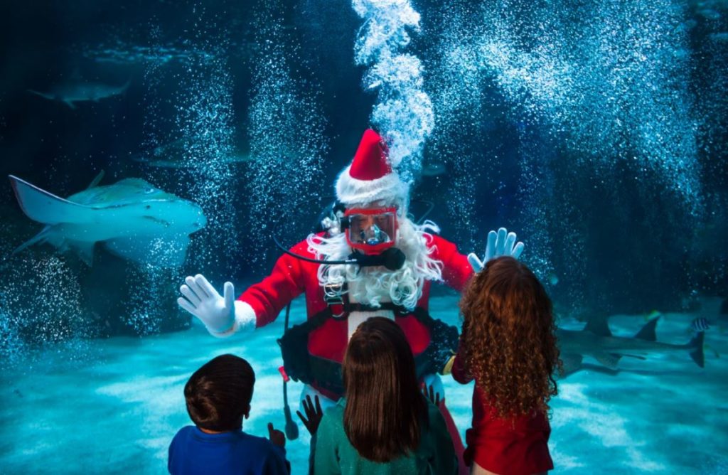 Newport Aquarium Scuba Santa