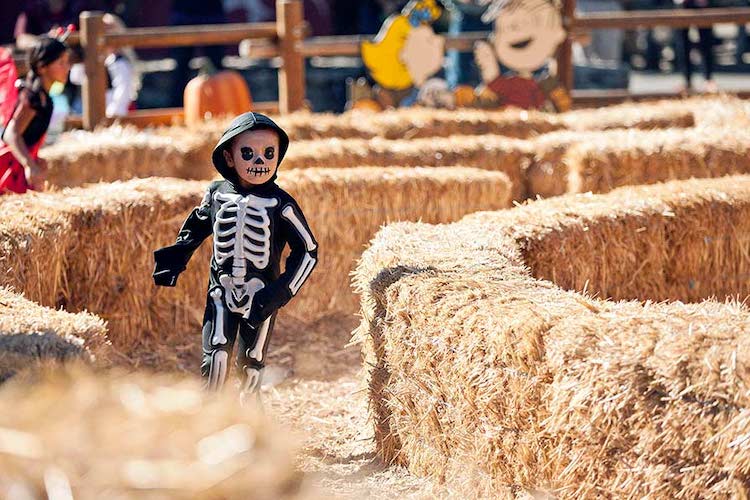 Tricks and Treats Fall Fest at Kings Island Saturdays and Sundays through November 1, 2020