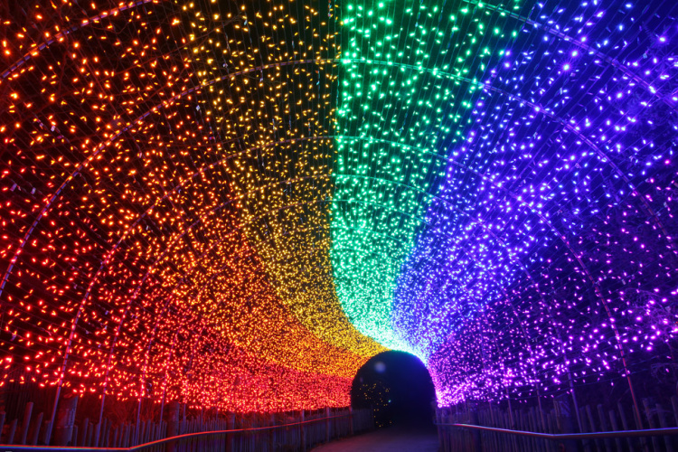 10 pandemic-friendly Cincinnati Christmas attractions to visit this year