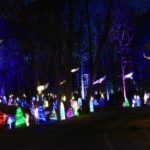 Experience a winter wonderland during Winter Woods Spectacular