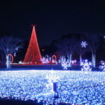 Christmas Nights of Lights 14