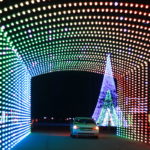 Christmas Nights of Lights 25 (2)