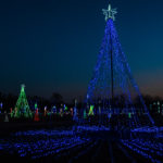 DZZ_2978