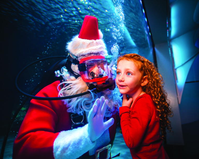 Scuba Santa’s Water Wonderland at Newport Aquarium An underwater holiday tradition your family will never forget!