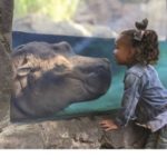 cincy zoo-100