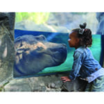 cincy zoo-100