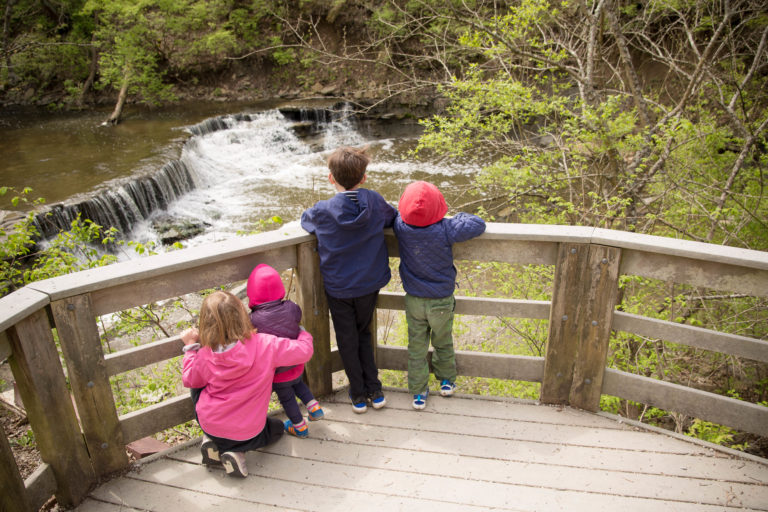 Sharon-Woods-Gorge-Trail-3-768x512 - Southwest Ohio Parent Magazine