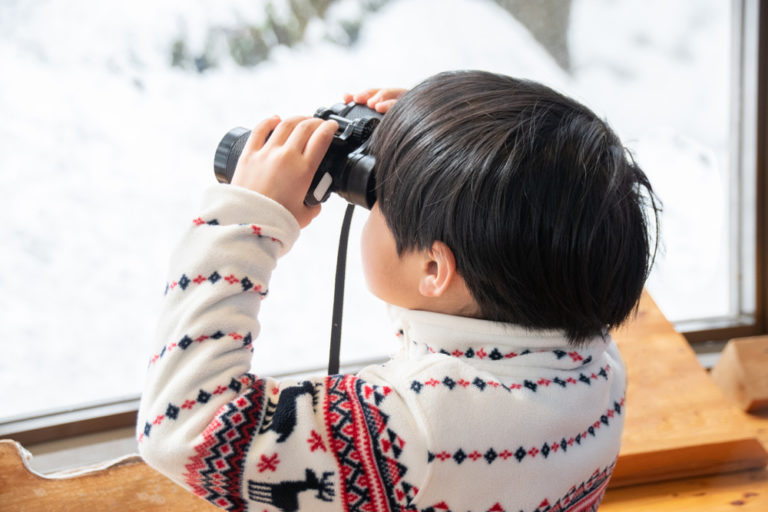 The Great Backyard Bird Count is a Pandemic-Friendly Family Activity