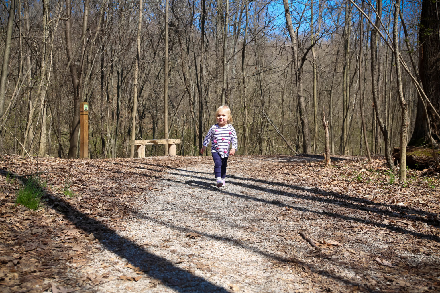 Escape to the Sky: Ohio's Hidden Gem, Johnson Ridge State Nature Preserve