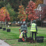 Tree Planting with Partners MadTree, CincyParks, Groundworks ORV at Laurel Park