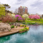 Blooming Flowers and Trees in Spring in Eden Park, Cincinnati, USA