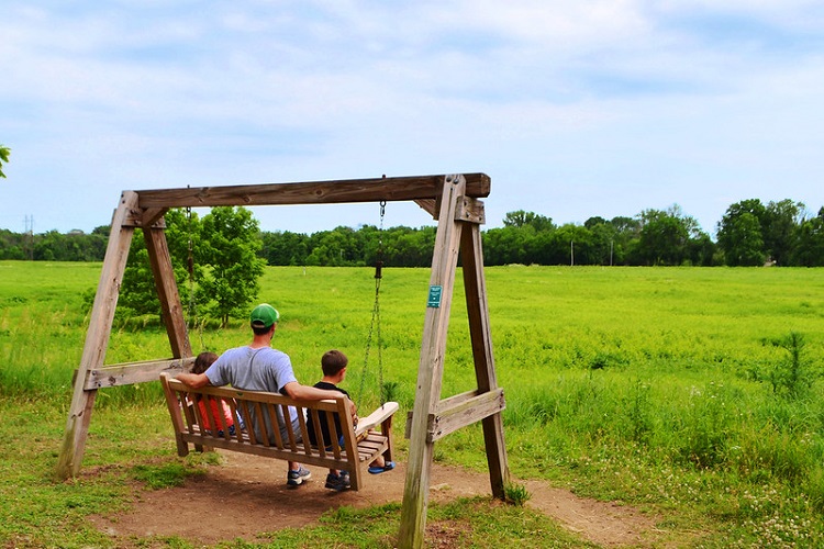 MetroParks to reopen visitor centers, tree tower, resume summer fitness ...