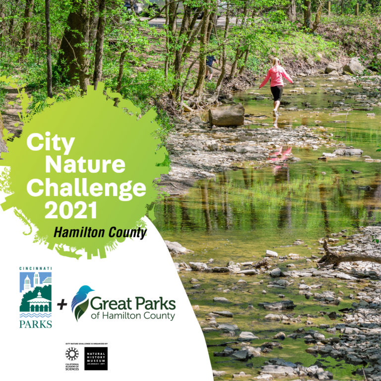 City Nature Challenge 2021