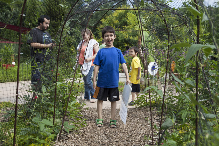 Enjoy the summer at your Five Rivers MetroParks