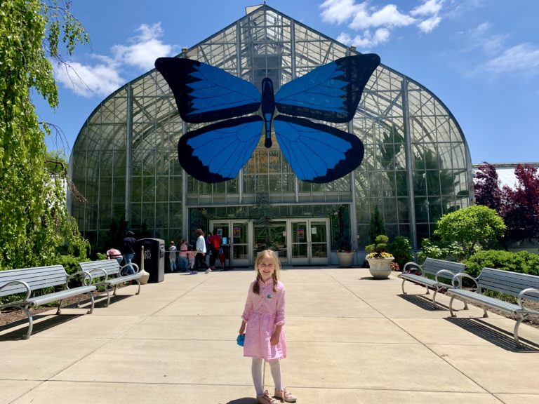 Butterflies of Bali at the Krohn Conservatory