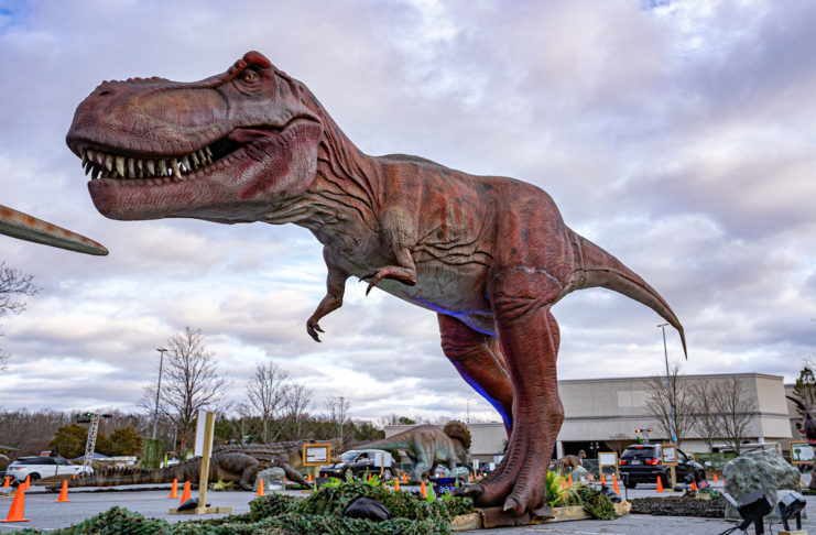 DinoSafari-2021-Northpoint-Mall-127
