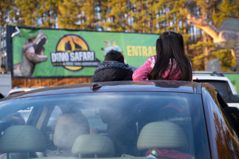 Enter to Win a Free Visit to Dino Safari