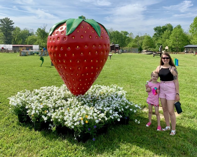 A Berry Fun time to be Had at Blooms and Berries Strawberry Days