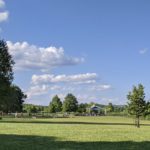 Otto Memorial park pic