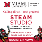 miami steam