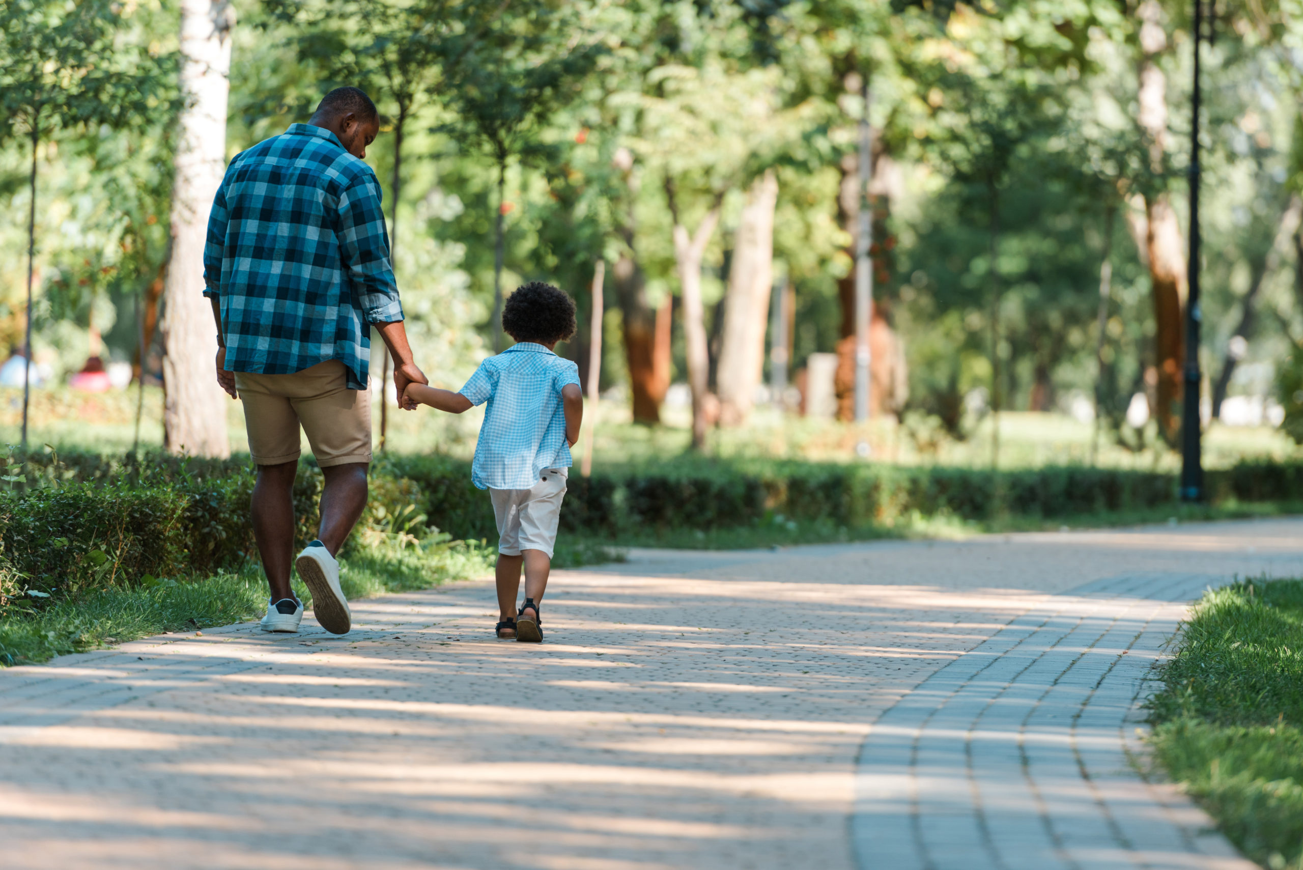 back view of curly kid holding hands with african american father and  walking in park - Southwest Ohio Parent Magazine, image size:2560x1709