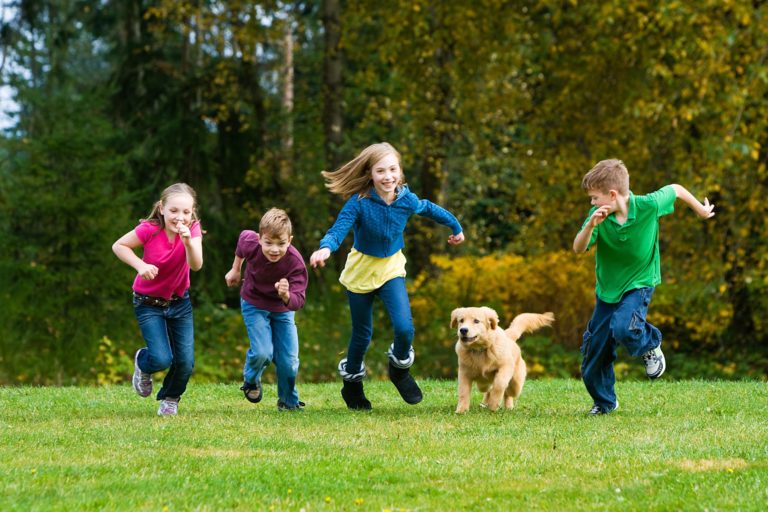Dogs, Kids