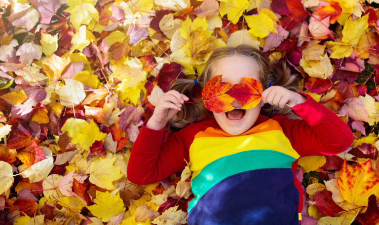 Dayton Fall Foliage Guide