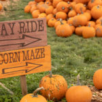 hay ride and corn maze sign