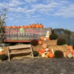 fall on the farm truck at entrance