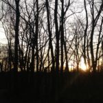 236572068_10160118626008623_2005608234730470233_n