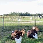 25FEB93F-0A83-46E4-A58C-09C96FE80482