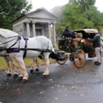 horse-drawn-carriage-800×515