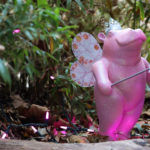 49200620611_e97184da44_b