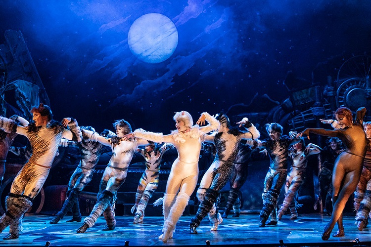 Win Tickets to CATS at the Schuster Center!