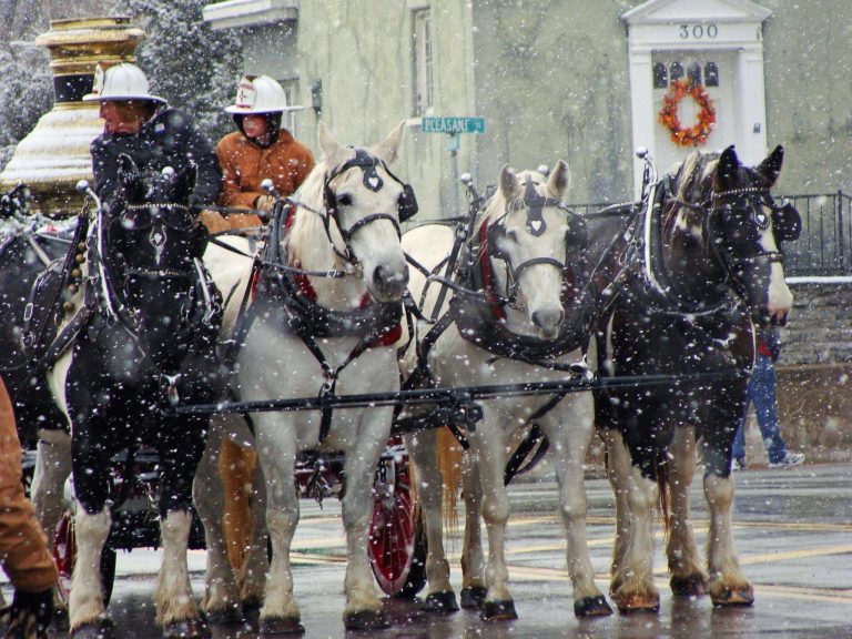 32nd Annual Lebanon Horse Drawn Carriage Parade & Festival