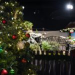 256353967_10160039943079287_2908644515741803039_n