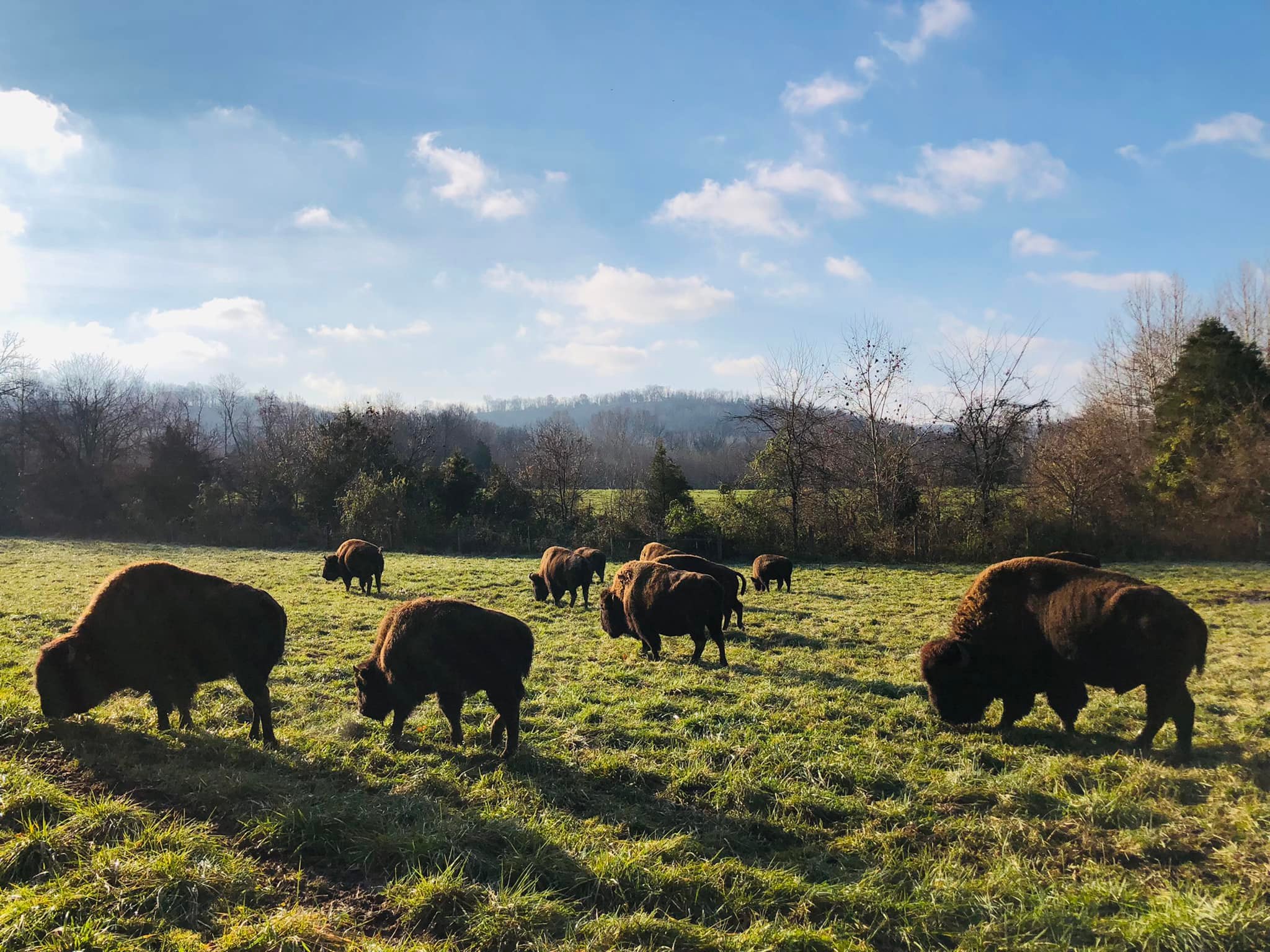 262421248_1885324668336043_4162232329383819110_n