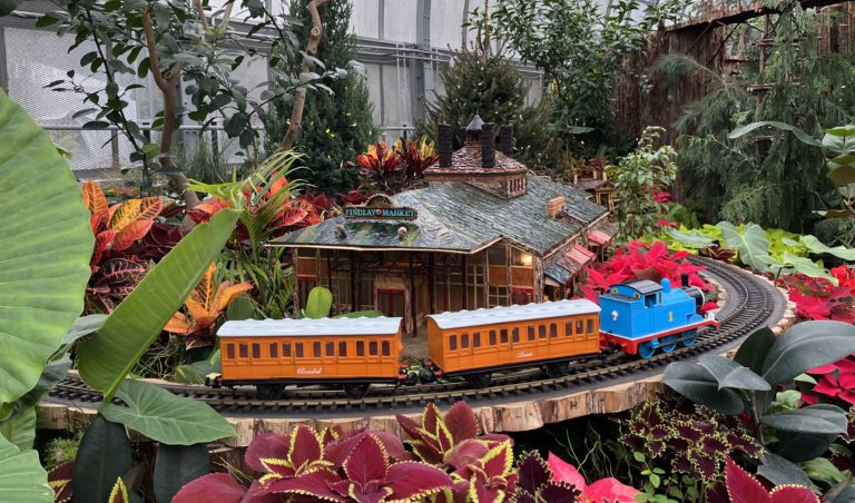 Solstice Glow: Trains at Krohn Conservatory
